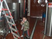 Our youngest son, Konstantin having fun in the winery